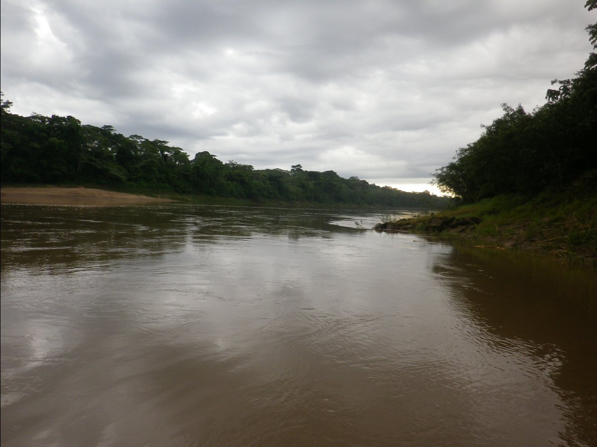 Amazon - Peru35